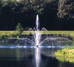 Fountain Tiara