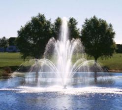 Fountain Fleur De Lis