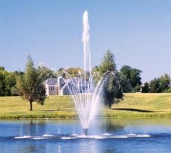 Fountain Trellis & Sky Geyser